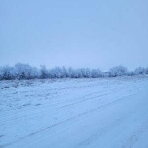 Snow Storm in Dickinson, ND