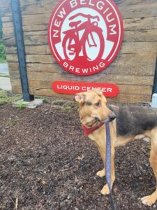 Ares in Asheville NC at New Belgium Breweing